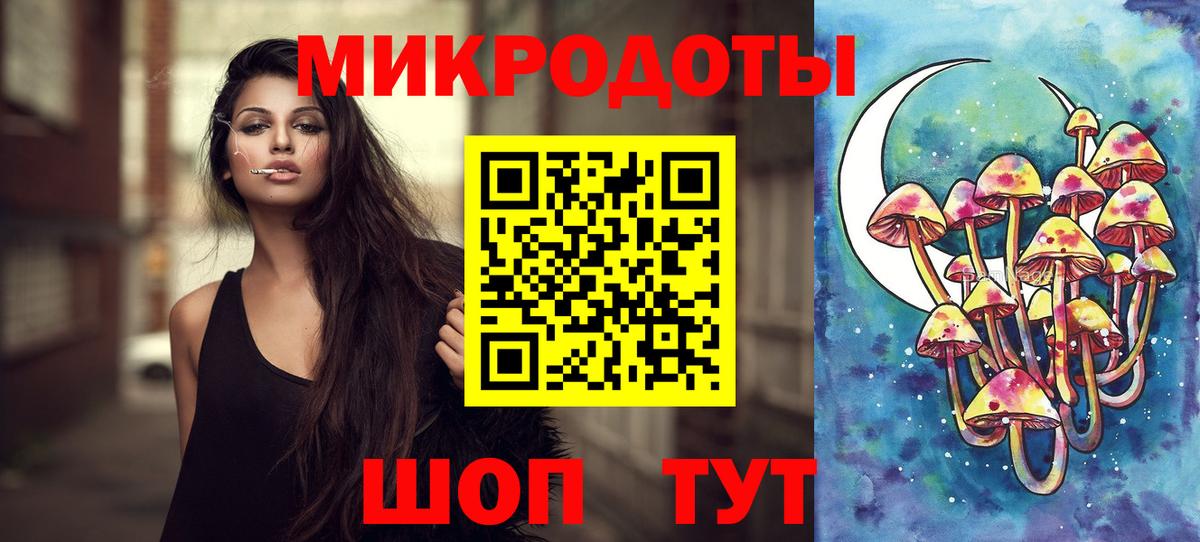Галлюциногенные грибы Psilocybine cubensis Мичуринск