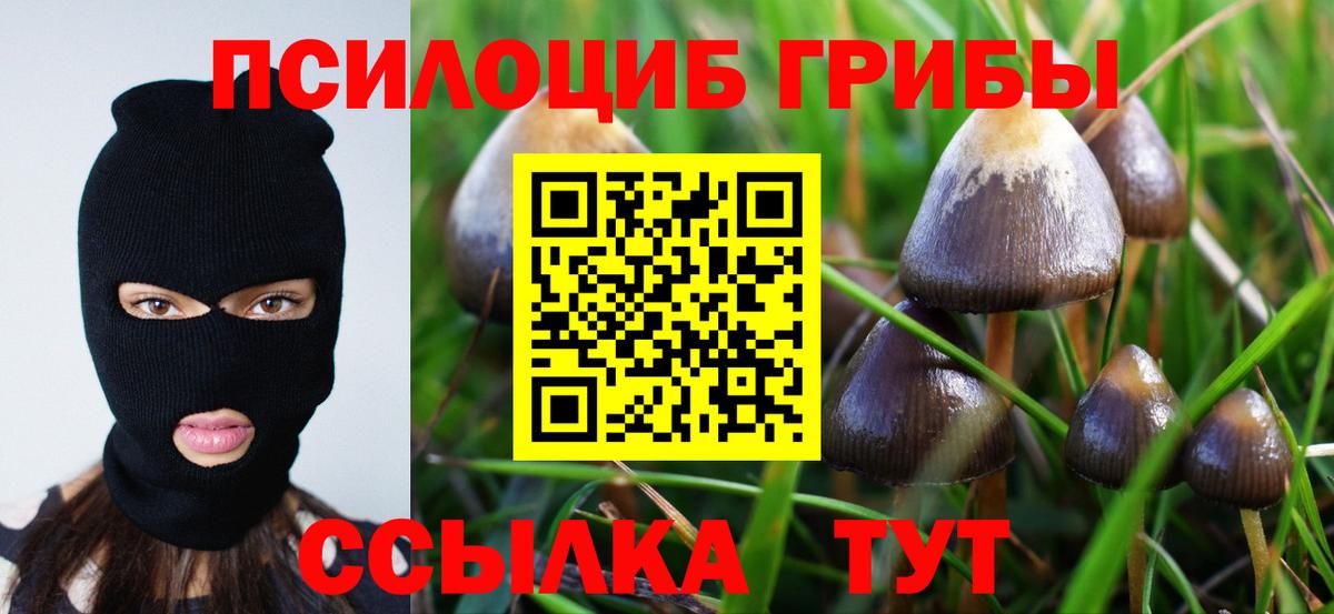 Псилоцибиновые грибы GOLDEN TEACHER  Псилоцибиновые грибы Magic Shrooms  Вход с VPN  Мичуринск 